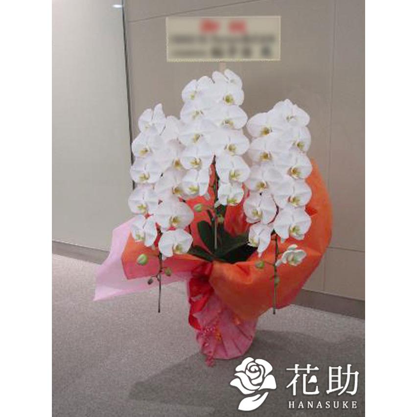 高い品質 お花屋さんから手渡し届け 送料 名札 画像無料 全国配達 フラワーコンシェルジュが厳選した花屋の胡蝶蘭3本立ち 24輪以上 000円 超人気 Www Muslimaidusa Org