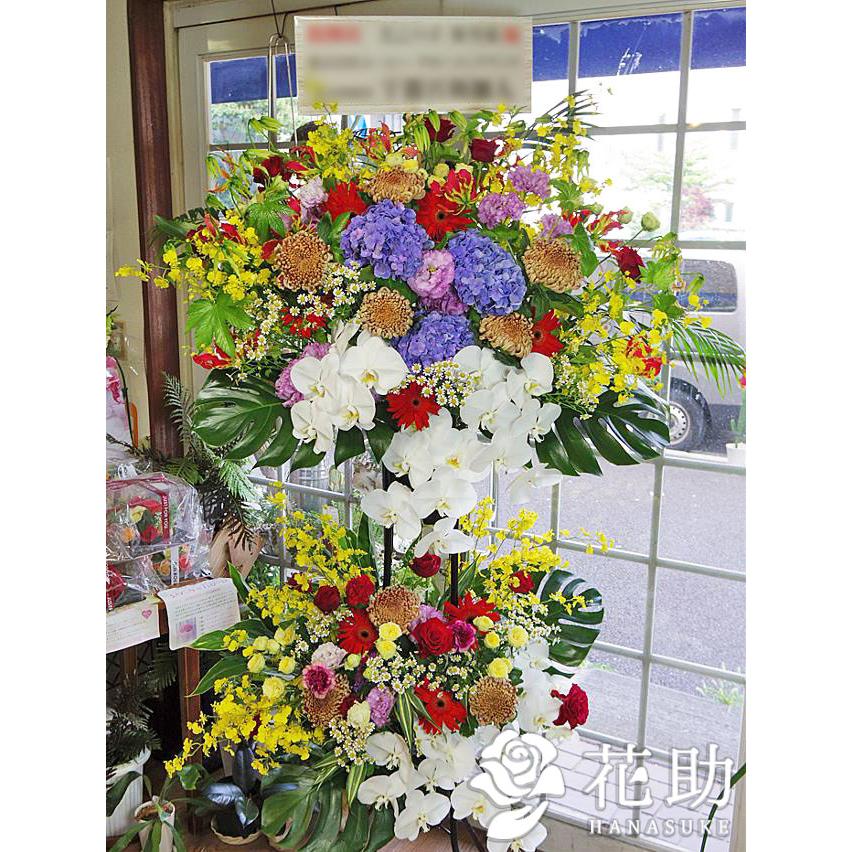スタンド花 フラワーコンシェルジュ厳選花屋の胡蝶蘭入りスタンド花 2段 円 名札無料 東京大阪名古屋はじめ全国配達 Oksd 花助yahoo 店 通販 Yahoo ショッピング