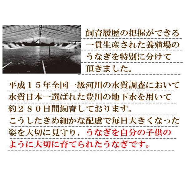 うなぎ おつまみ ギフト 極上豊橋うなぎ＆光武 芋濁三分濾過 芋焼酎＆おつまみセット :送料無料｜hanatareya｜04