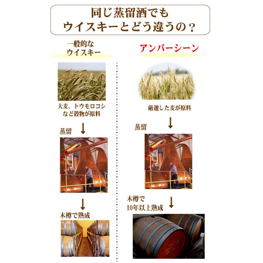 喜寿のお祝い 古希のお祝い 還暦祝い 男性 麦焼酎 焼酎 ギフト AMBER