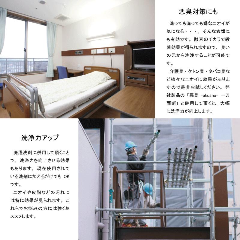 どんぐり 1000個 10月採取 水洗い 煮沸処理 陰干し 砲弾型 磨き