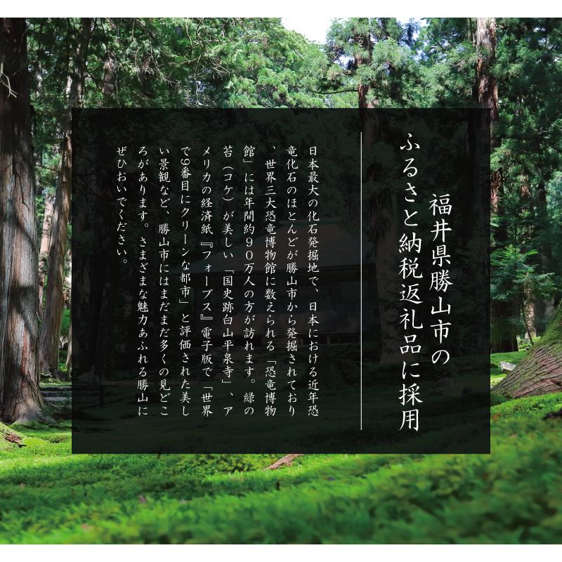 作業着 -sagyogi- 一刀両断 2kg×4本 油 作業服 ワイシャツ 洗剤 クリーニング師が開発 送料無料_9