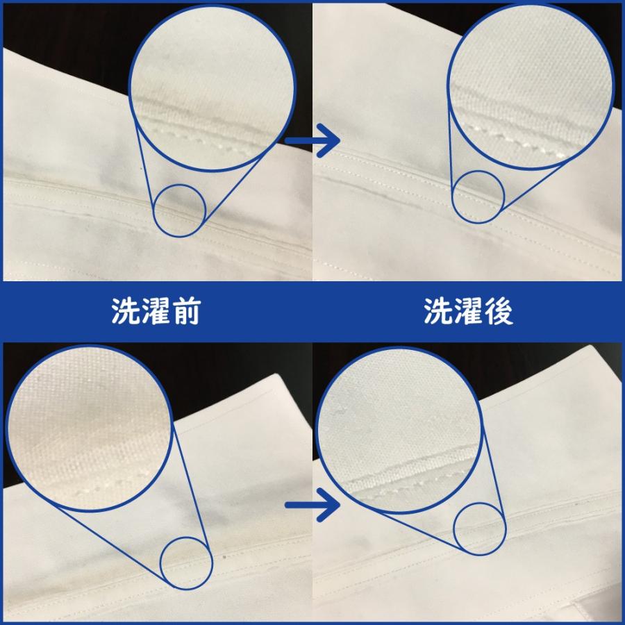 わいしゃつの洗剤 500g えり そで 皮脂汚れ 化粧品 食べ汚し ワイシャツ  | クリーニング師が開発 | 送料無料 |  | 01