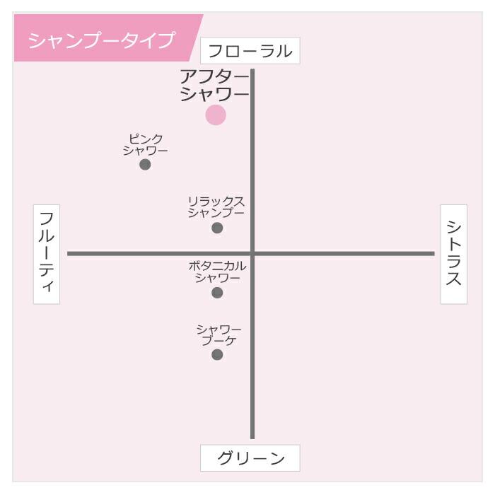 栄光社 エアースペンサー カートリッジ アフターシャワー 【10個セット 