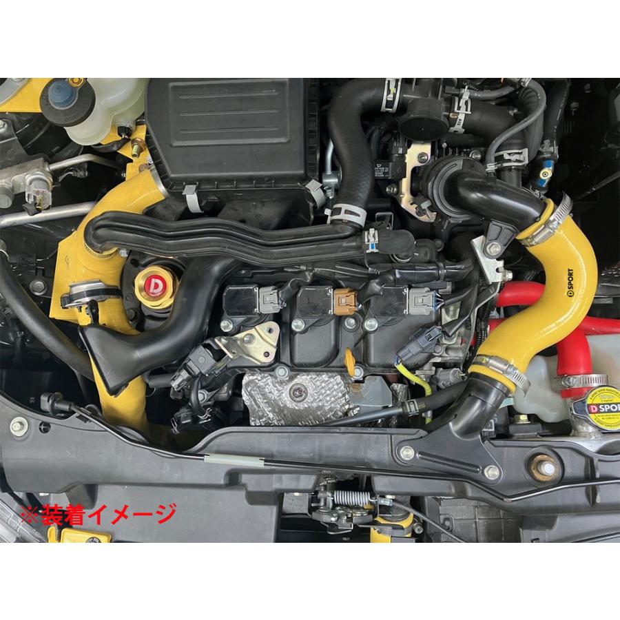 D-SPORT(ディースポーツ) スーパーインテークホースキット 品番：17113