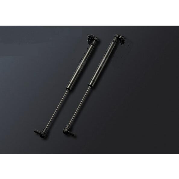 D-SPORT(ディースポーツ) フロントストラットタワーバー plus GTバージョン補修用ダンパー 品番：55138-B081-01H