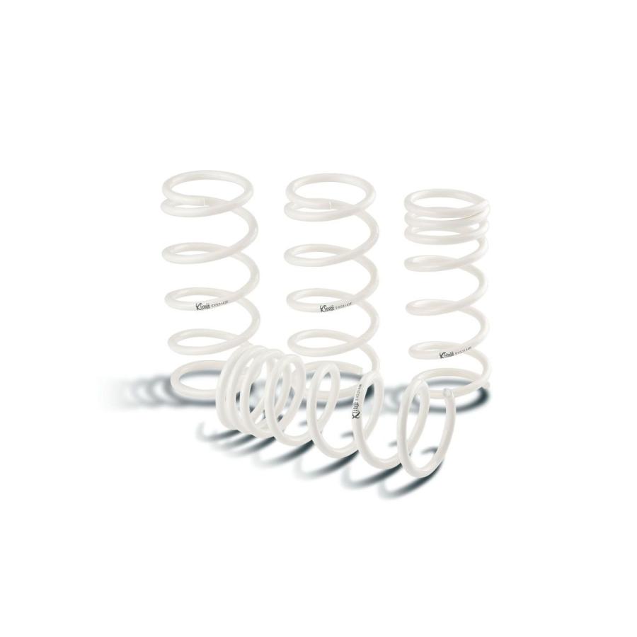 KYB(カヤバ) スプリング エクステージ1台分セット トヨタ ノア 14/01- ZWR80G 品番：EXS-ZWR80G