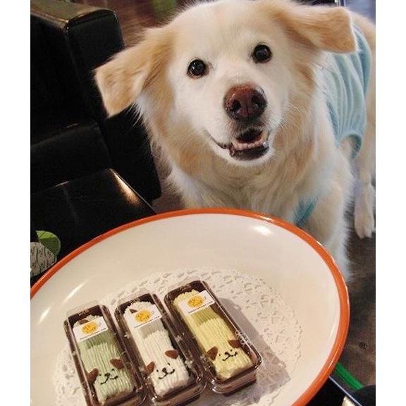 ペット 犬用 ケーキ 無添加 通販 ご褒美 おやつ 誕生日 かわいい ハッピー鮭ミートローフ 鮭のプチケーキ Cf12 はなとしっぽ 通販 Yahoo ショッピング