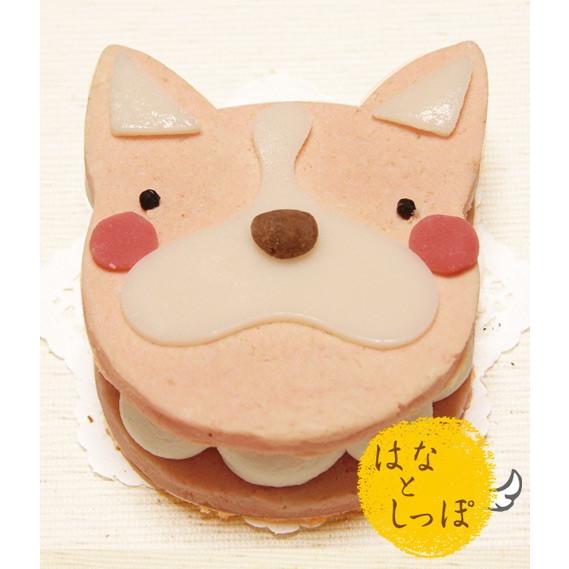 犬　ケーキ　ワンバーグ発酵ケーキ　フレントブルドッグみたいなタイプ　猫用ケーキ　誕生日　無添加　人気　おすすめ　フードケーキ　アレルギー　映える　　｜hanatoshippo｜02