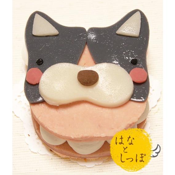 犬 ペット用 無添加 ケーキ 通販 誕生日 ボストンテリアみたいなタイプ ワンバーグ発酵ケーキ デコレーションケーキ おやつ ご褒美 かわいい Wb13 はなとしっぽ 通販 Yahoo ショッピング
