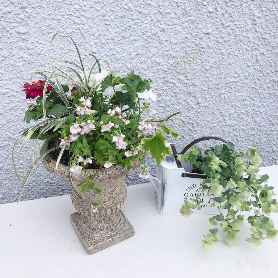 季節のお花寄せ植え グラスファイバー