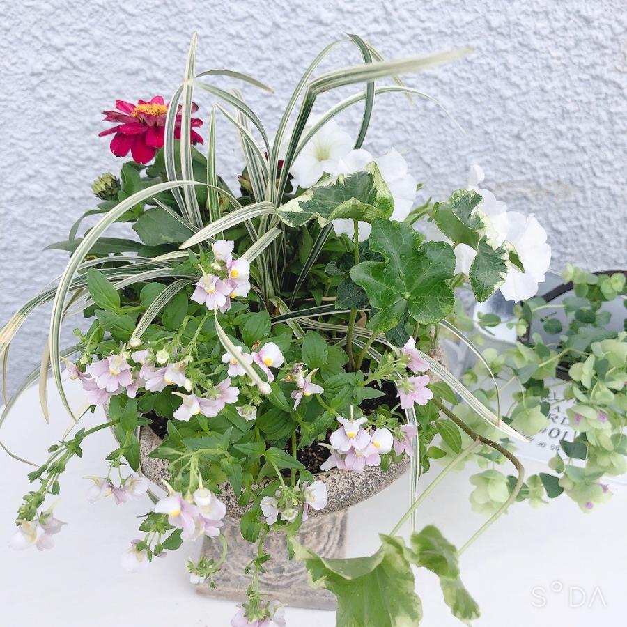 季節のお花寄せ植え グラスファイバー