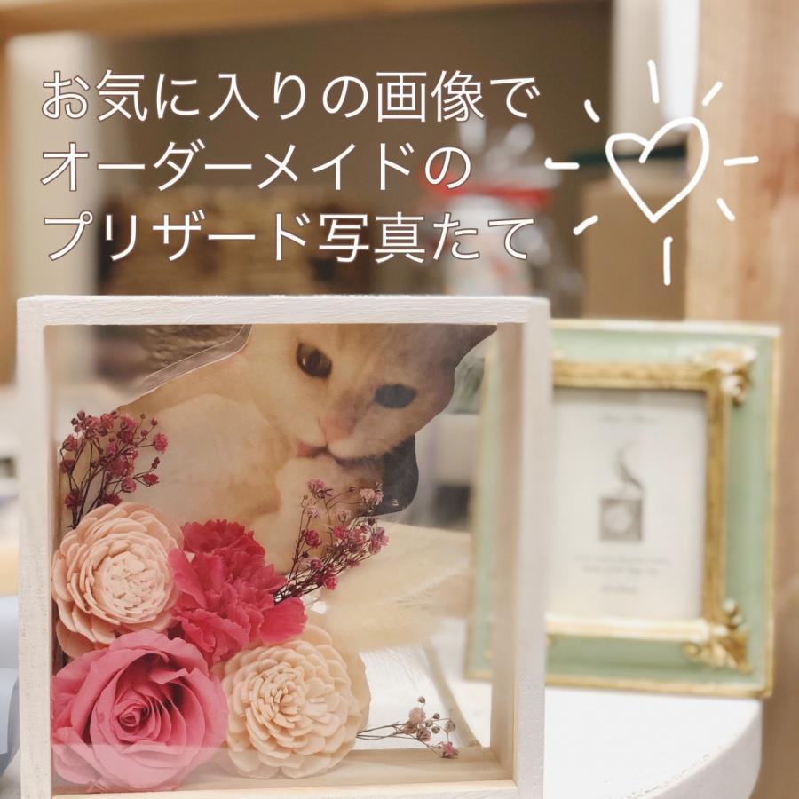 オーダーメイド メモリアル 写真立て ブリザードフラワー ドライフラワー ペット 猫 犬 贈答 Za 08 花と雑貨とヤフーショップ 通販 Yahoo ショッピング