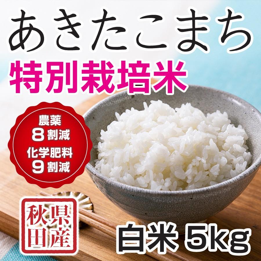 白米 令和5年産新米 秋田県産 あきたこまち 特別栽培米 5kg 農薬８割減 化学肥料９割減 慣行栽培比 農家直送｜hanatsukafarm