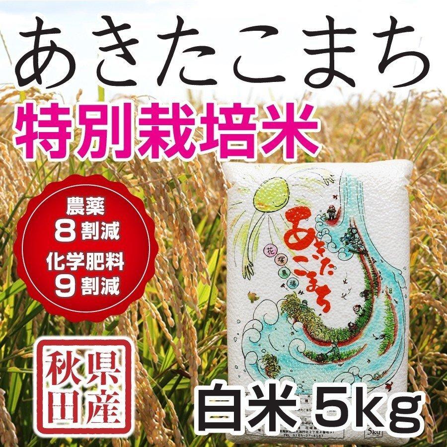 あきたこまち 白米 令和6年産米 秋田県産 特別栽培米 5kg 農薬8 あきたこまち 白米 令和6年産米 秋田県産 特別栽培米 5kg 農薬8