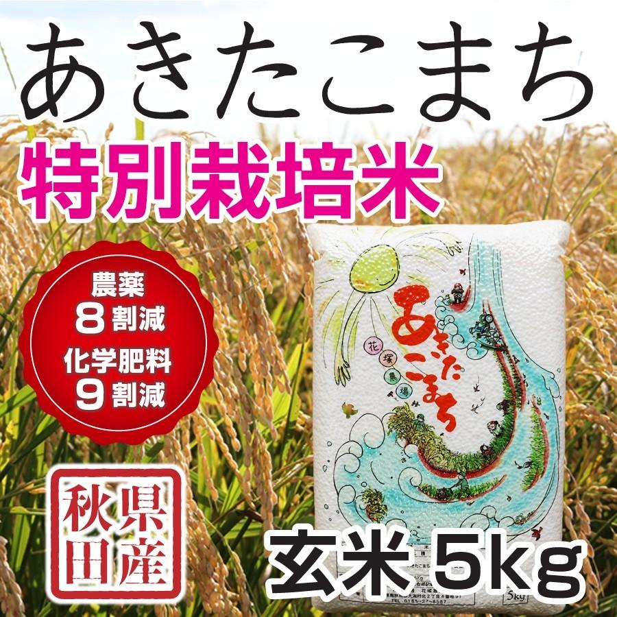 玄米 令和5年産新米 秋田県産 あきたこまち 特別栽培米 5kg 農薬８割減 化学肥料９割減 慣行栽培比 農家直送｜hanatsukafarm｜05