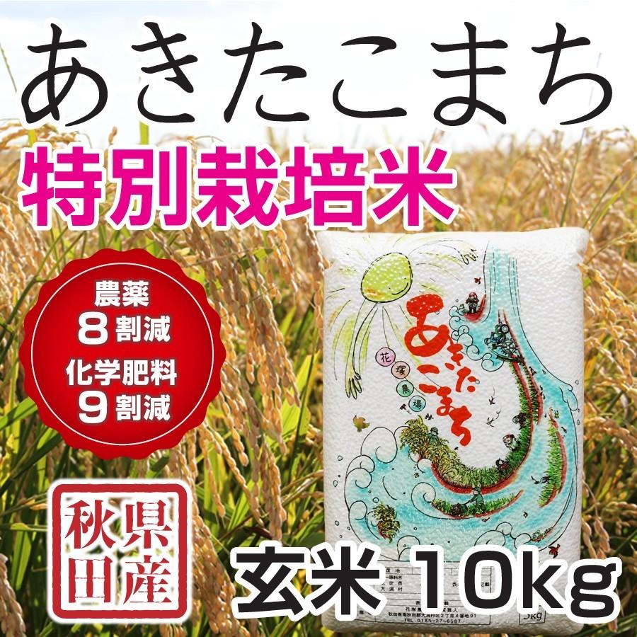 玄米 令和4年産新米 秋田県産 あきたこまち 特別栽培米 10kg 農薬8割減 化学肥料9割減 慣行栽培比 農家直送|hanatsukafarm|06