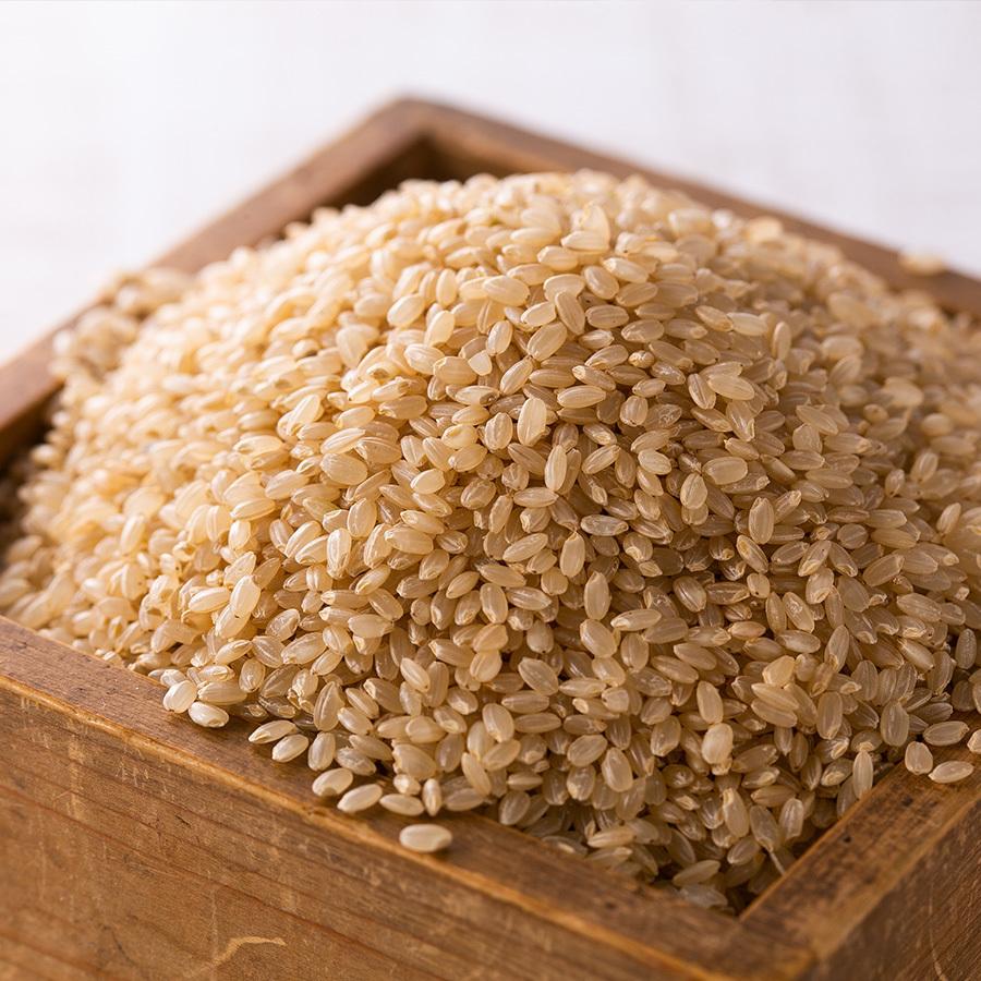 あきたこまち 玄米 令和6年産米 秋田県産 特別栽培米 20kg 農薬 あきたこまち 玄米 令和6年産米 秋田県産 特別栽培米 20kg 農薬