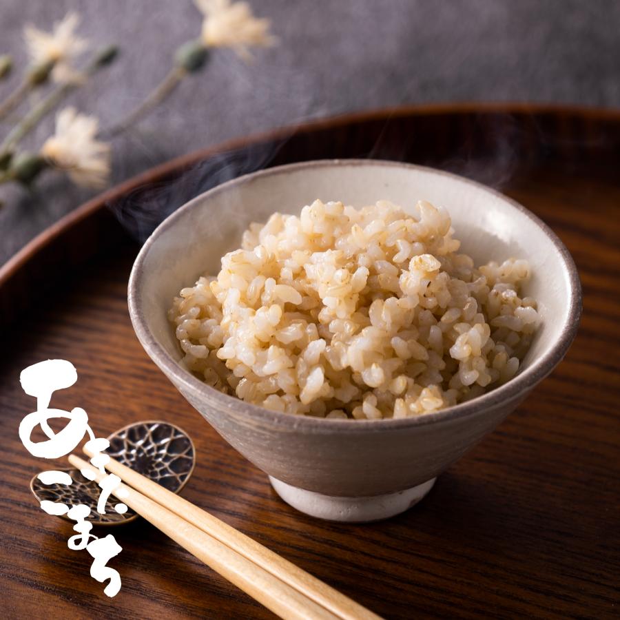 あきたこまち 玄米 令和7年産 秋田県産 特別栽培米 20kg 【6月8日発送