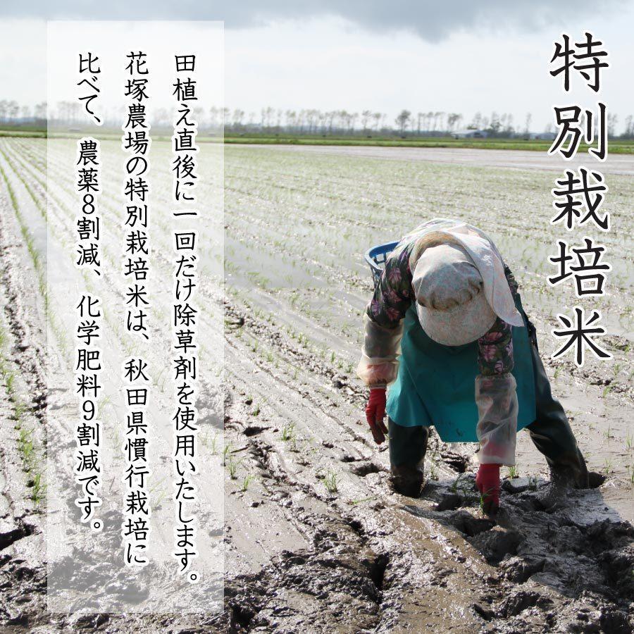 あきたこまち 玄米 令和6年産米 秋田県産 特別栽培米 30kg 農薬 あきたこまち 玄米 令和6年産米 秋田県産 特別栽培米 30kg 農薬