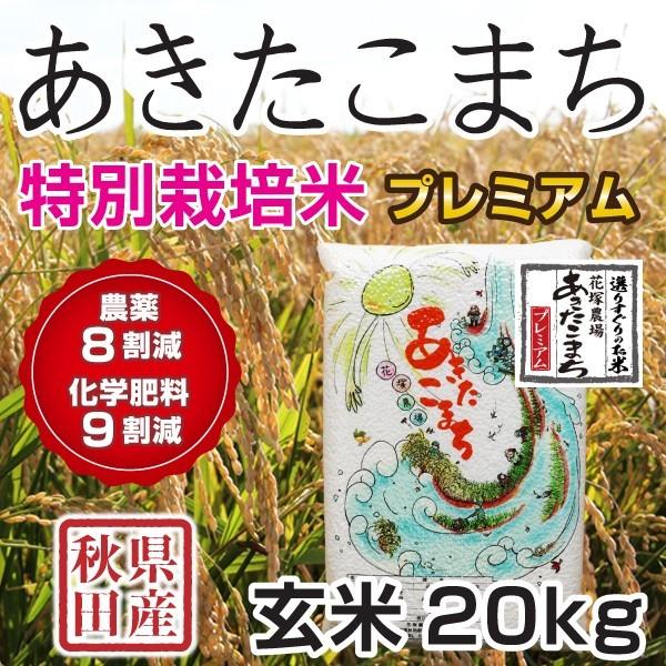安心安全な減農薬栽培！　 令和6年産　ひとめぼれ　 玄米10キロ送料込み 安心安全な減農薬栽培！ 令和6年産 ひとめぼれ 玄米10キロ 送料込み