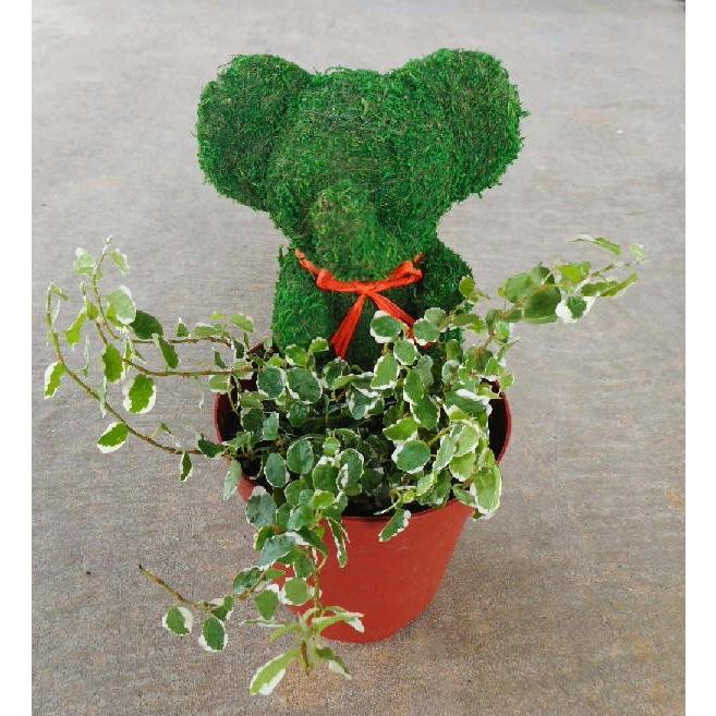動物トピアリー トピアリーモス ゾウ ４号 Topiary Elephant Size4 緑の風yamashoku ヤフー店 通販 Yahoo ショッピング