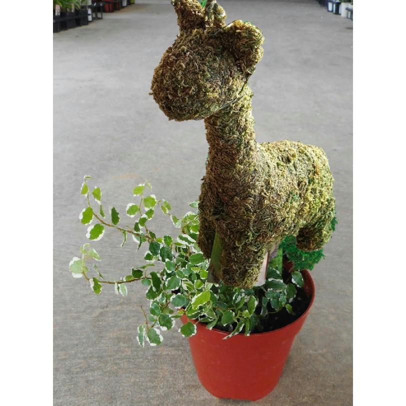 動物トピアリー トピアリーモス キリン 4号 Topiary Kirin Size4 緑の風yamashoku ヤフー店 通販 Yahoo ショッピング