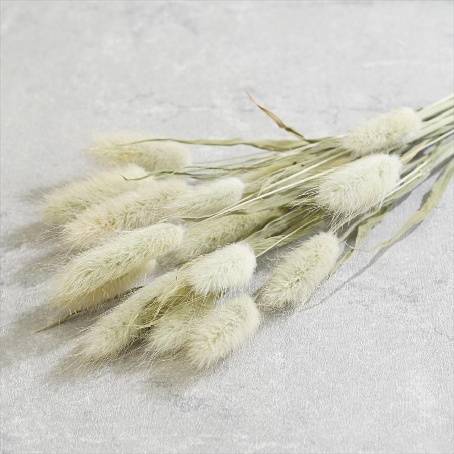 ドライフラワー ラグラス ハーバリウム 髪飾り 花材 リース キット プリザーブドフラワー Drag グリーンショップ花うらら 通販 Yahoo ショッピング