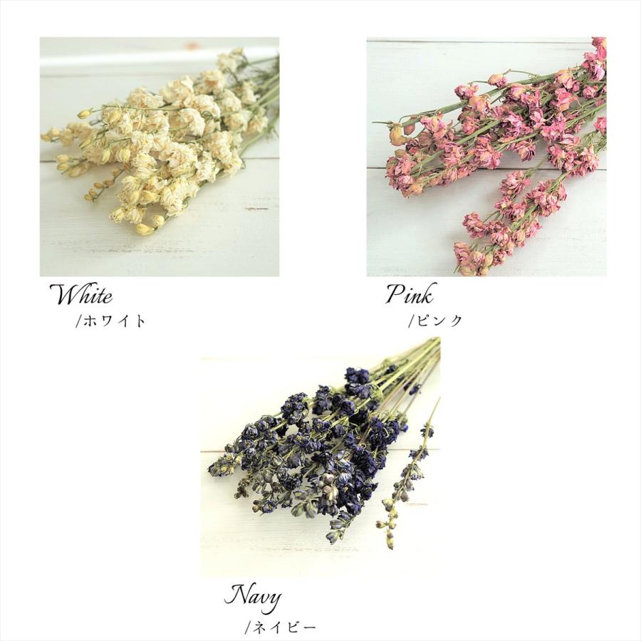 ドライフラワー ラークスパー 花材 リース キット ハーバリウム アロマキャンドル ワックスサシェ Drarks グリーンショップ花うらら 通販 Yahoo ショッピング