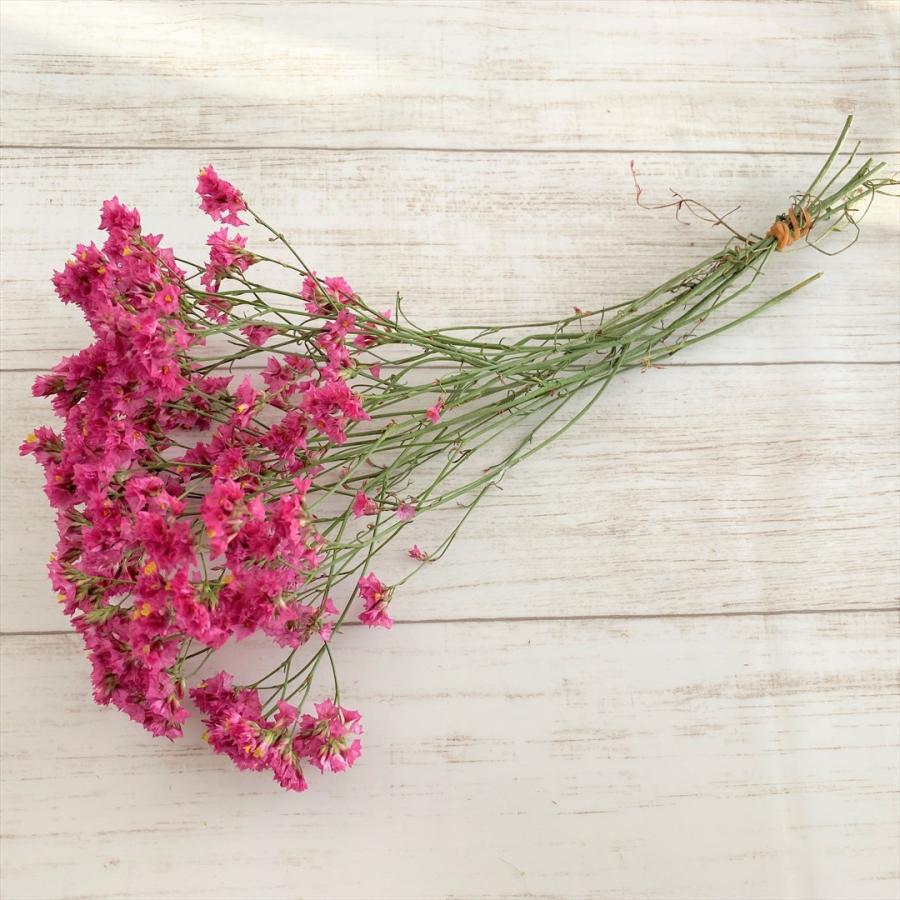 ドライフラワー サマーチェリー 全3色 Hbスターチス 花材 リース キット ハーバリウム 花うららオリジナル Osta 3 グリーンショップ花うらら 通販 Yahoo ショッピング