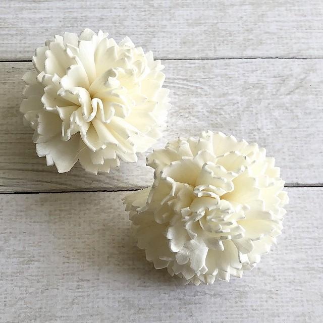 ドライフラワー ソーラーファインカーネーション 小 白 2輪 大地農園 ハーバリウム レジン 髪飾り 花材 リース キット Srf 1 グリーンショップ花うらら 通販 Yahoo ショッピング