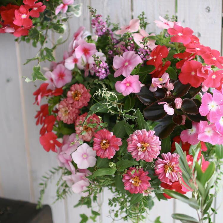 花うるる おまかせハンギング 寄せ植え Lサイズ(4月から11月まで