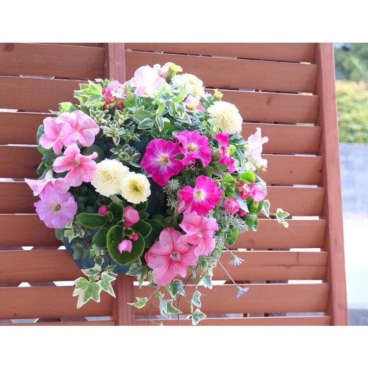 花うるる おまかせ／「季節のハンギング寄せ植えLサイズ(開花期:4月-11