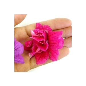 本物新品保証 タキイの八重ペチュニア苗 ドレスアップ 良株 ローズ 9cmポット苗 ペチュニア 苗 セット ガーデニング サフィニア 八重咲き Arizonavmlc Org