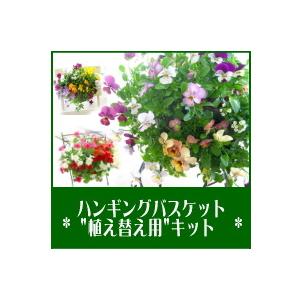 ハンギングバスケット植え替えキット 基本編 容器なし 換えスポンジ フック 手袋 ミズゴケ 土3l つき 鉢 プランター セット 花うるる ハンギング 寄せ植え通販 通販 Yahoo ショッピング