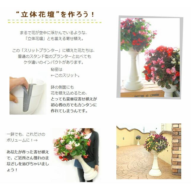 ◇花うるるオリジナル培養土・ミズゴケセットです◇「スリット