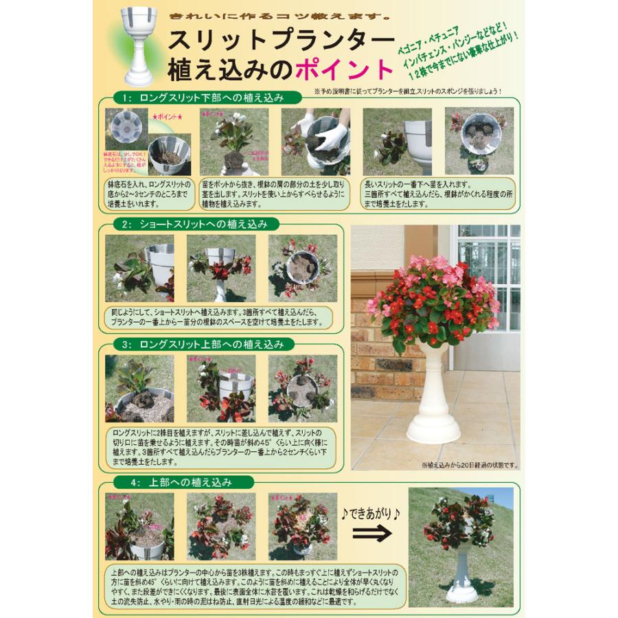 ◇花うるるオリジナル培養土・ミズゴケセットです◇「スリット