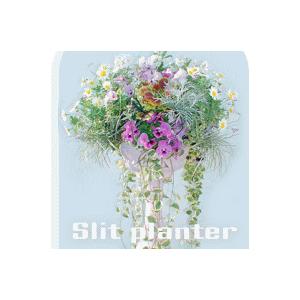 ◇花うるるオリジナル培養土・ミズゴケセットです◇「スリット