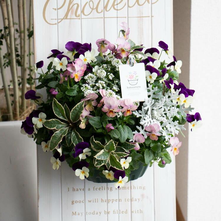 No.354 you様 ハンギングバスケット 花 寄せ植え 花・sou 掛けて楽しむ