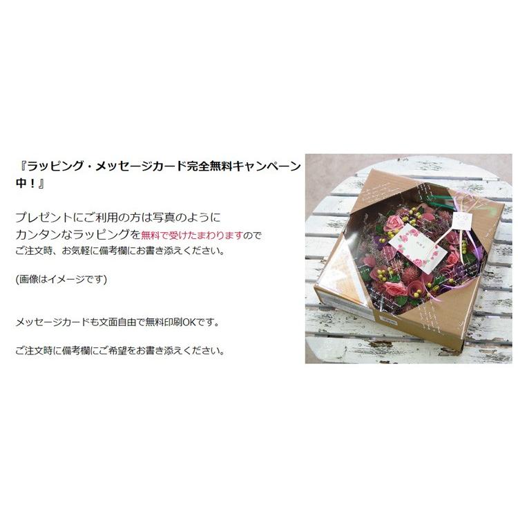 flower サマーギフトドライフラワー リース 玄関サマーリース(4265