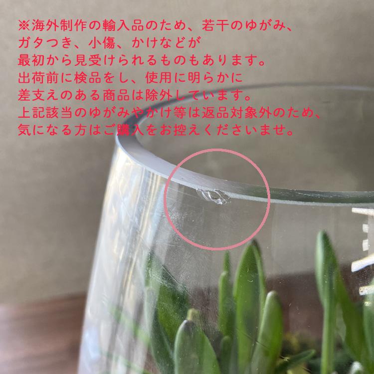 水耕栽培キット 芽出し球根おまかせmix ガラス付き「ドロップグラス