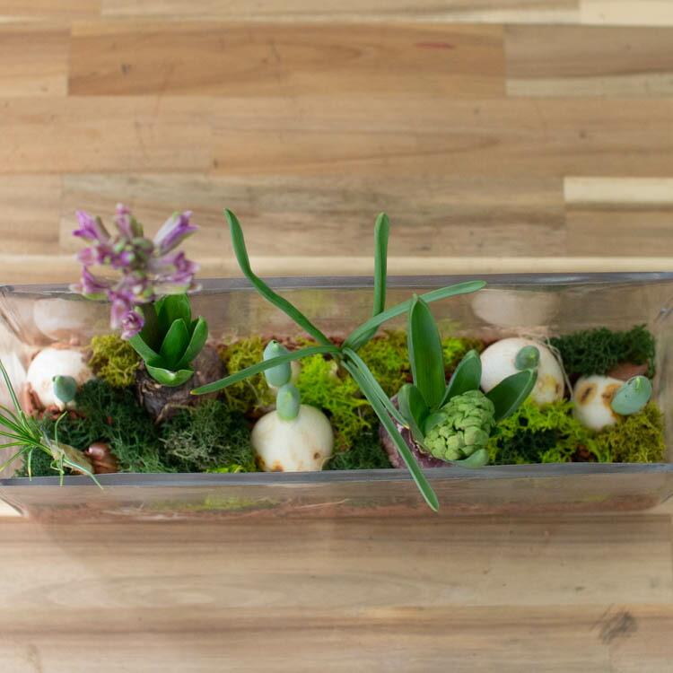 水耕栽培球根籠盛りセット 水耕栽培球根籠盛りセット