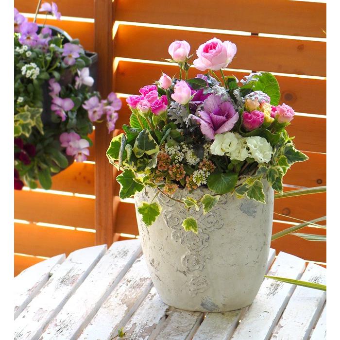 限定５鉢限り 新春のプレミアム寄せ植え 店長アレンジ ジュエリーローズ In ベースポット 開花期 3月 Gyaza Purivasel14 花うるる ハンギング 寄せ植え通販 通販 Yahoo ショッピング