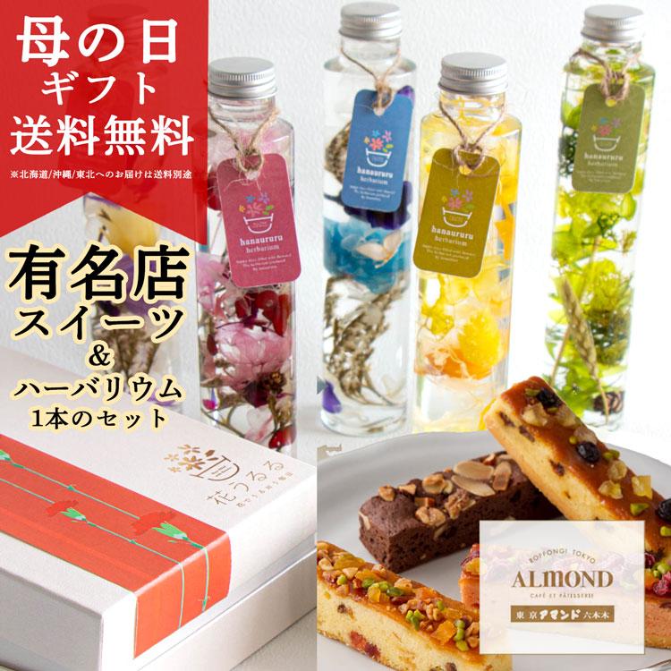 即日発送OK／プレゼントとスイーツ 洋菓子 [六本木アマンド