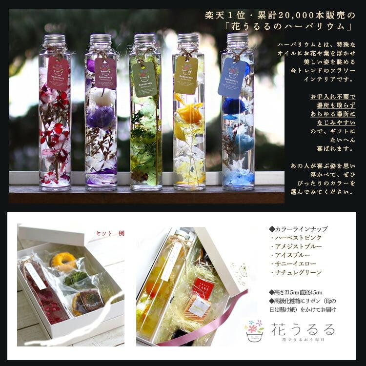 母の日 遅れてごめんね配送／花うるる プレゼント 花とスイーツ セット