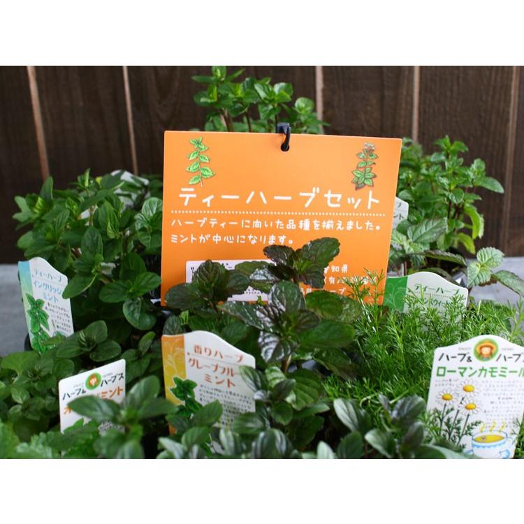 KOBBS ハーブティー 4種セット KOBBS ハーブティー 4種セット CATEGORY 食品 | SOUPs