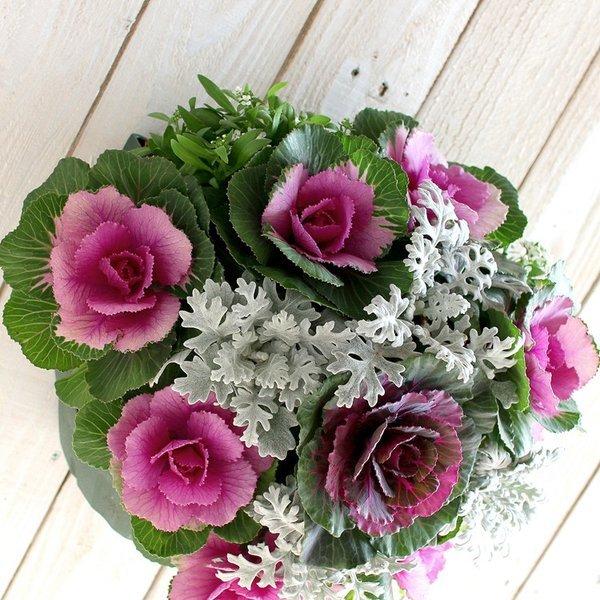 １月出荷 売り尽くしsale 数量10個限定 葉牡丹 ハボタン のハンギング寄せ植え サザンクロス 正月 飾り 玄関 アレンジメント 花 モダン リース Habotan Oboro10 B 花うるる ハンギング 寄せ植え通販 通販 Yahoo ショッピング