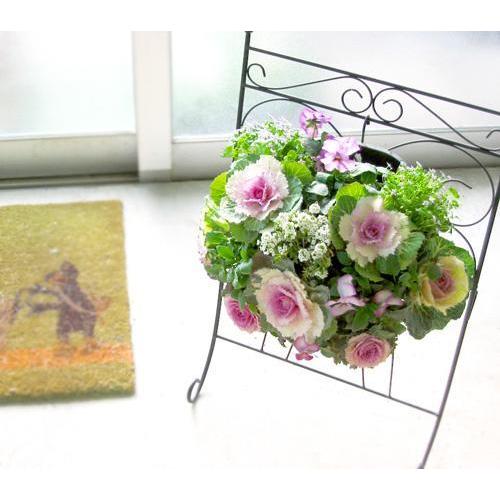 12 28受付分まで年内お届け お正月飾り 送料無料 葉牡丹 ハボタン のハンギング寄せ植え 桃 正月 飾り 玄関 花 モダン しめ縄 お歳暮 門松 葉ボタン Habotanmomo 花うるる ハンギング 寄せ植え通販 通販 Yahoo ショッピング