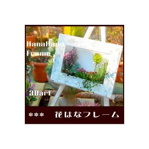 植物で描く3D絵画『花はなフレーム(600型)』国産の完全手作り品 (苗