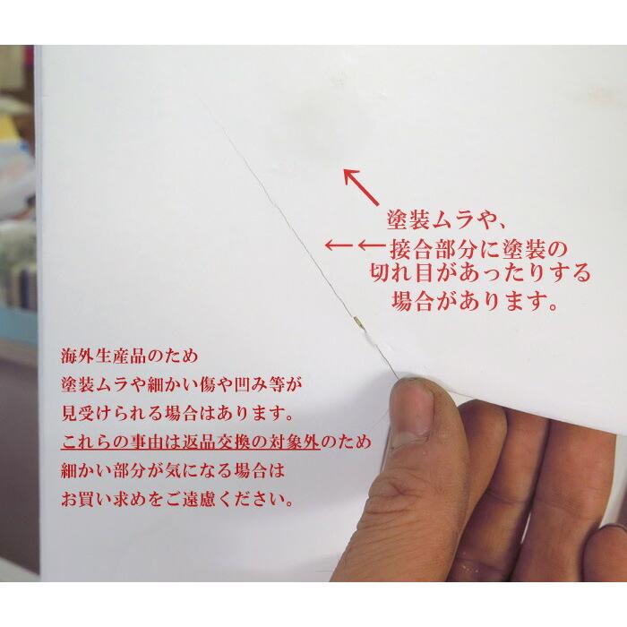植物で描く3D絵画『花はなフレーム(600型)』国産の完全手作り品 (苗